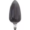LED spuldze Star Trading 355-09 Photo 7
