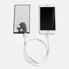 Maoxin MAX-VI-CS-1M-PI Lightning — USB кабель Photo 2