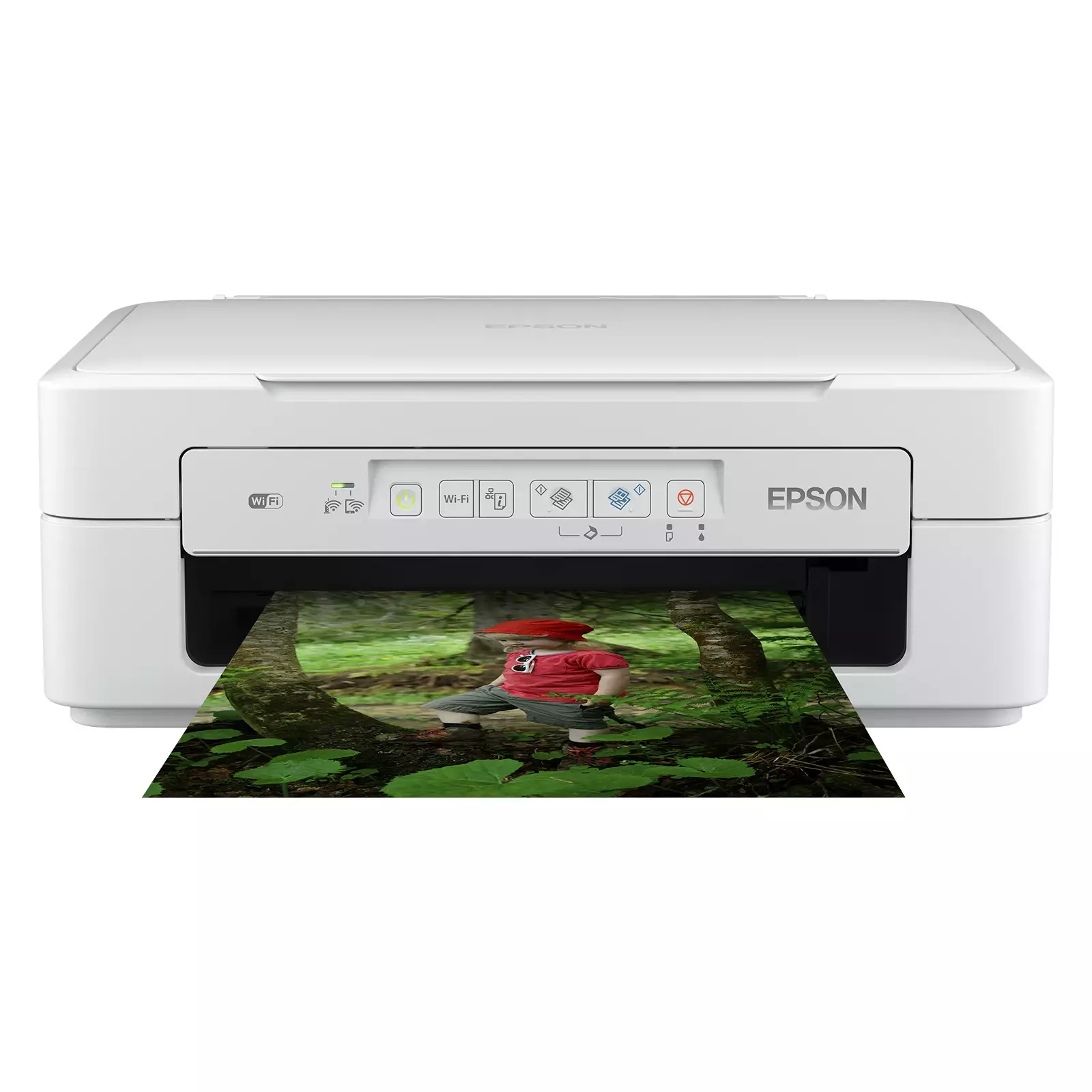 Epson C11CH17404 Photo 1