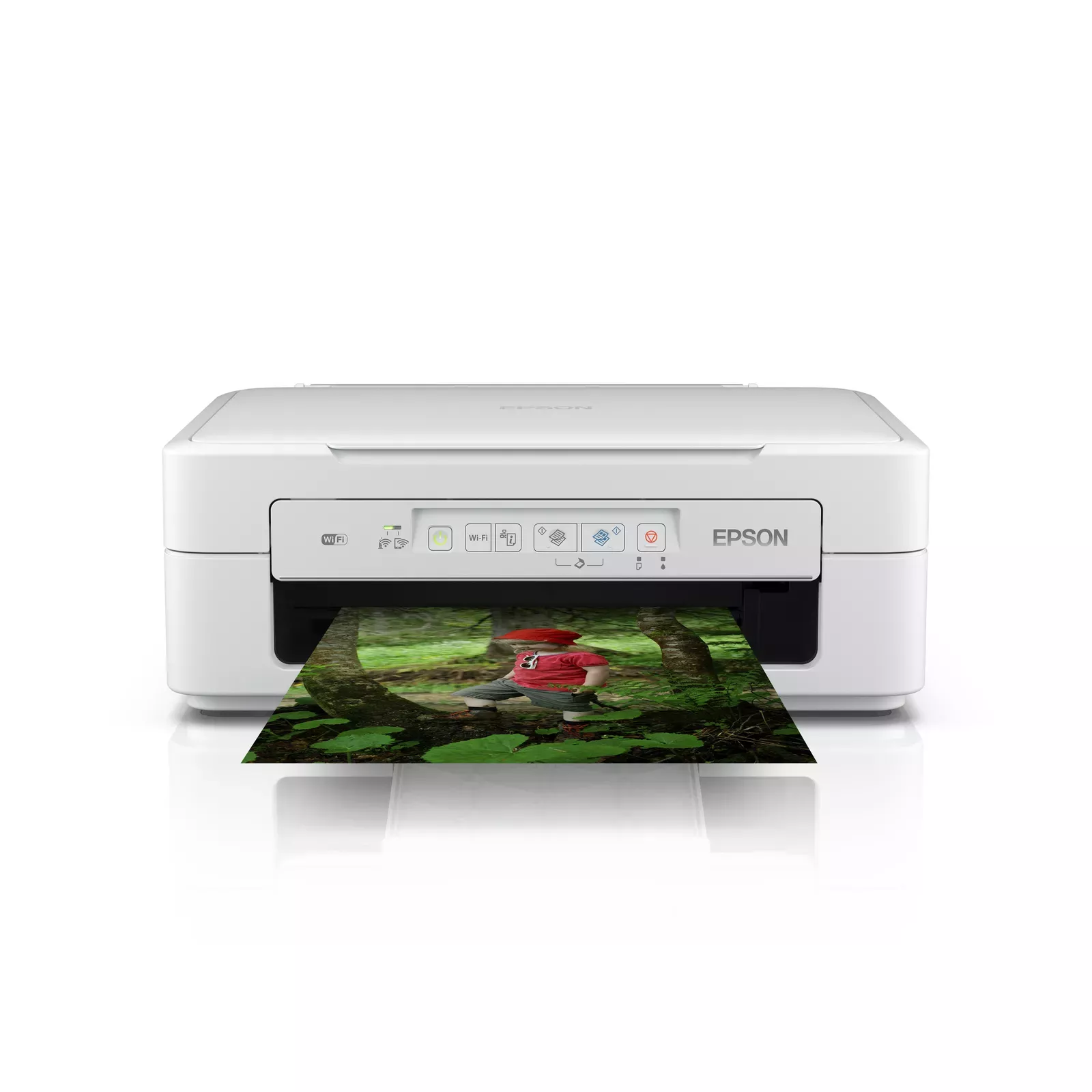 Epson C11CH17404 Photo 2