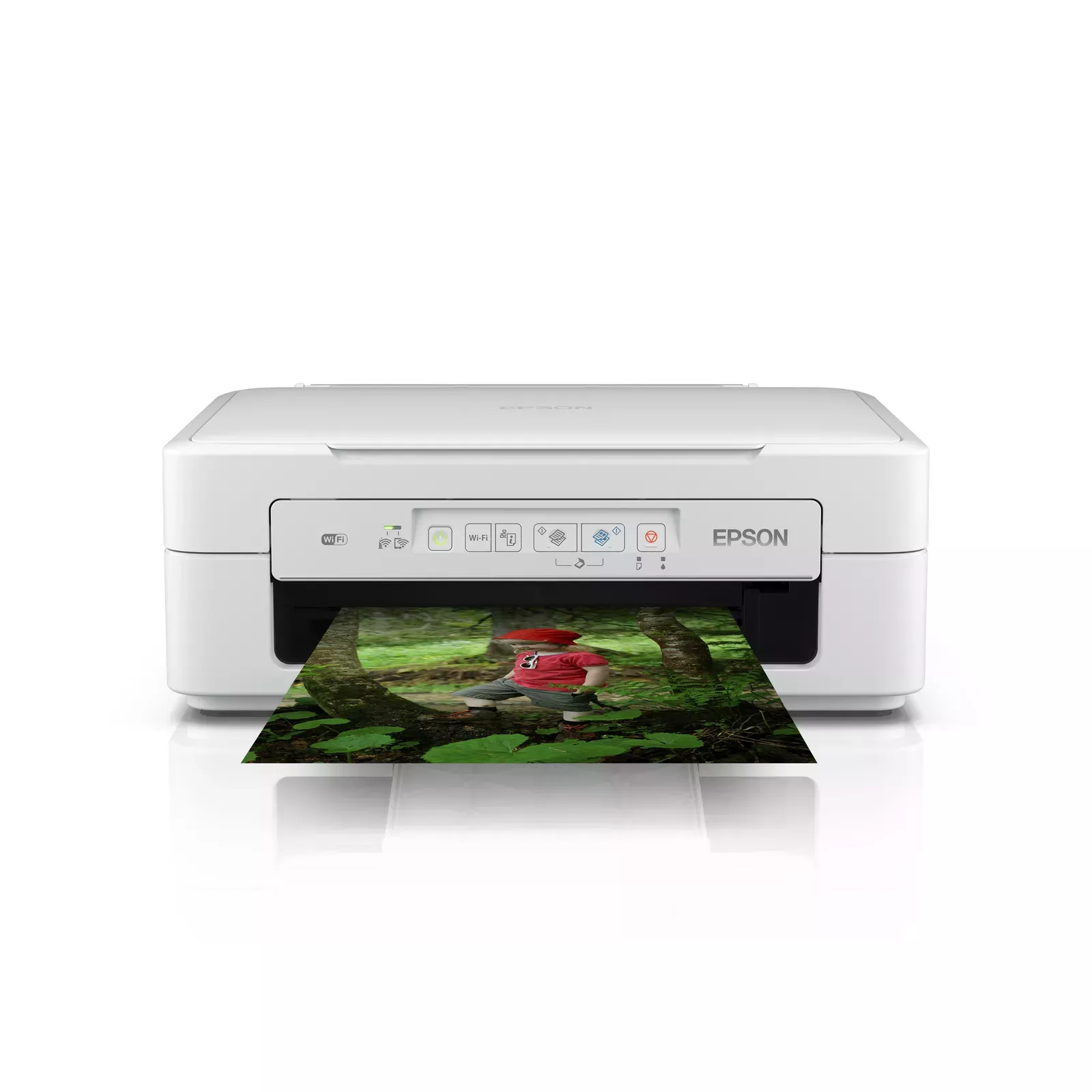 Epson C11CH17404 Photo 4