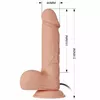 Vibrators BAILE Bahamut Photo 6