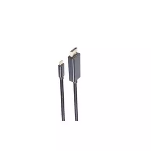 DisplayPort cable ShiverPeaks BS10-61045 1 m USB C Black