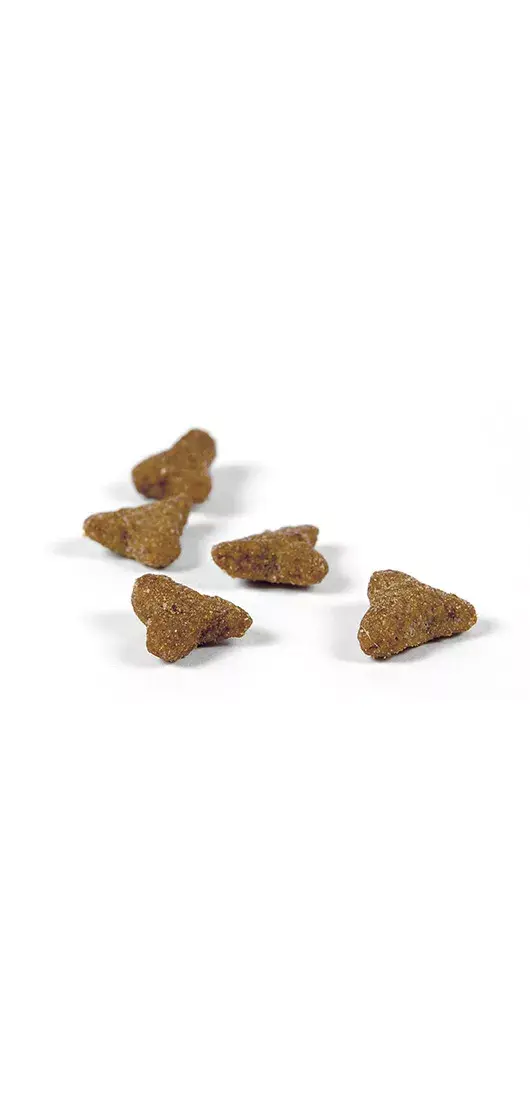 JOSERA Sauss barības kaķiem Adult 10 kg Photo 2