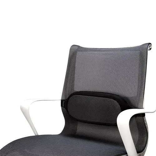 Fellowes 8042301 Lumbar Support Backrest Photo 2