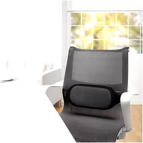 Fellowes 8042301 Lumbar Support Backrest Photo 3