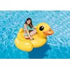 Ride-on float Intex 57556NP Photo 2