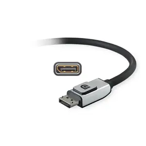 Display Port