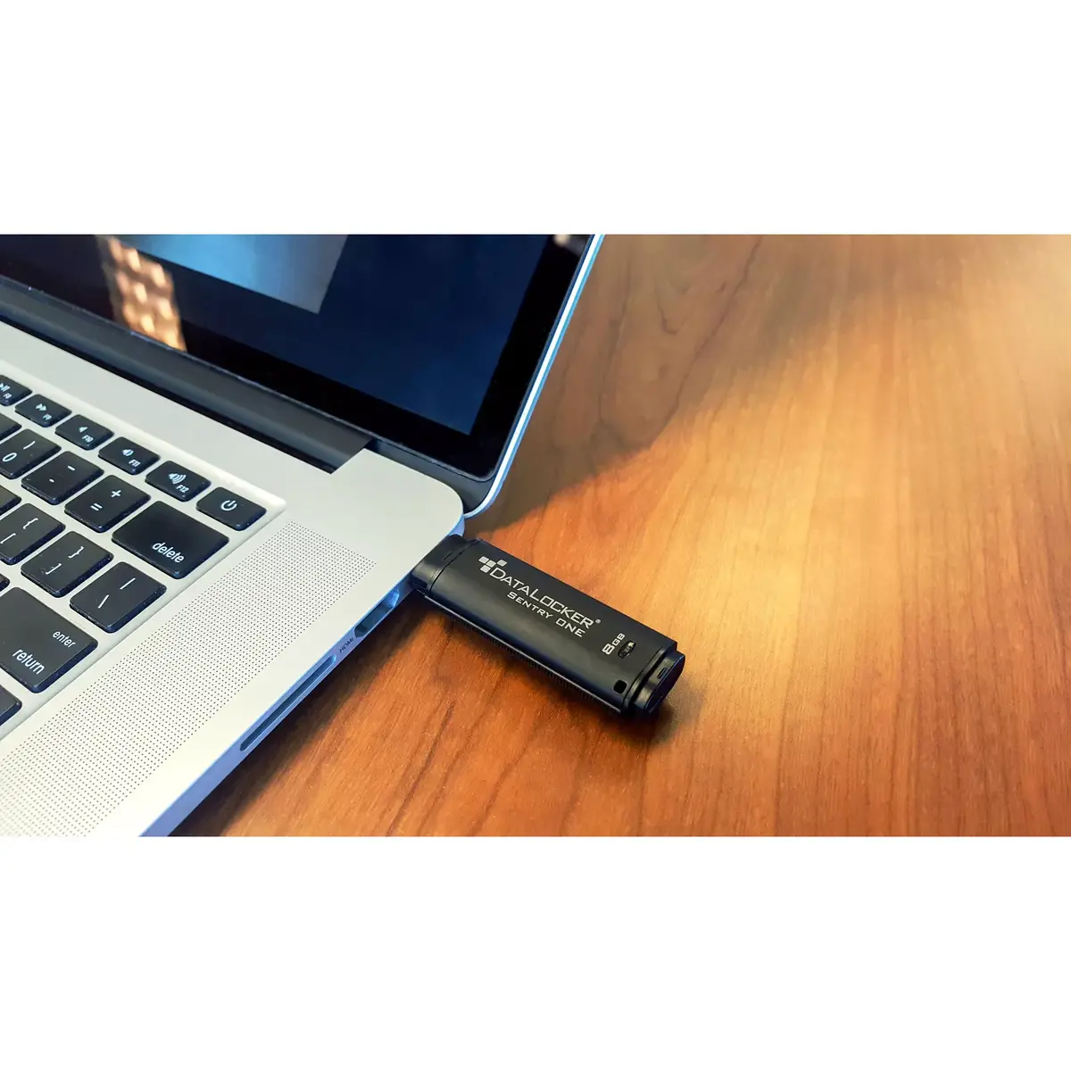 DataLocker Sentry One зашифрованная USB 8 ГБ Photo 3