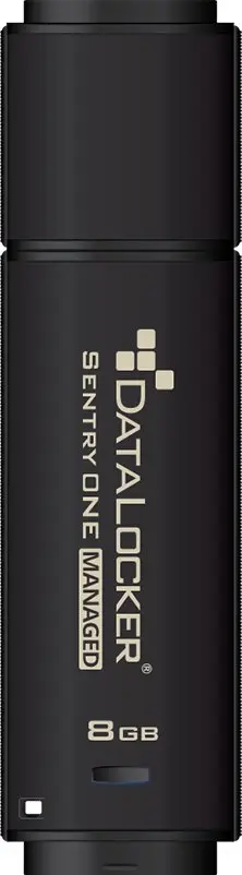 DataLocker Sentry One šifrēta USB 8 GB Photo 8
