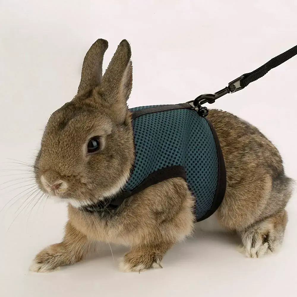 FERPLAST Jogging Medium harness for rodents Photo 3