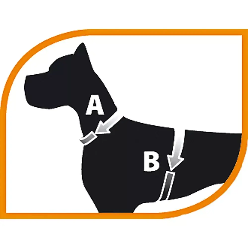 FERPLAST Jogging Medium harness for rodents Photo 4