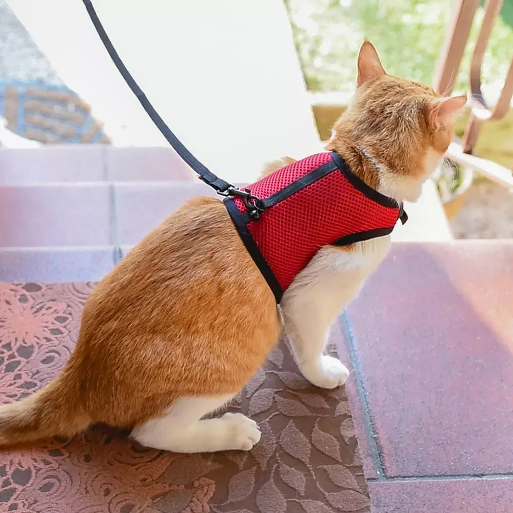 FERPLAST Jogging Extra Large harness for rabbits and cats Photo 4