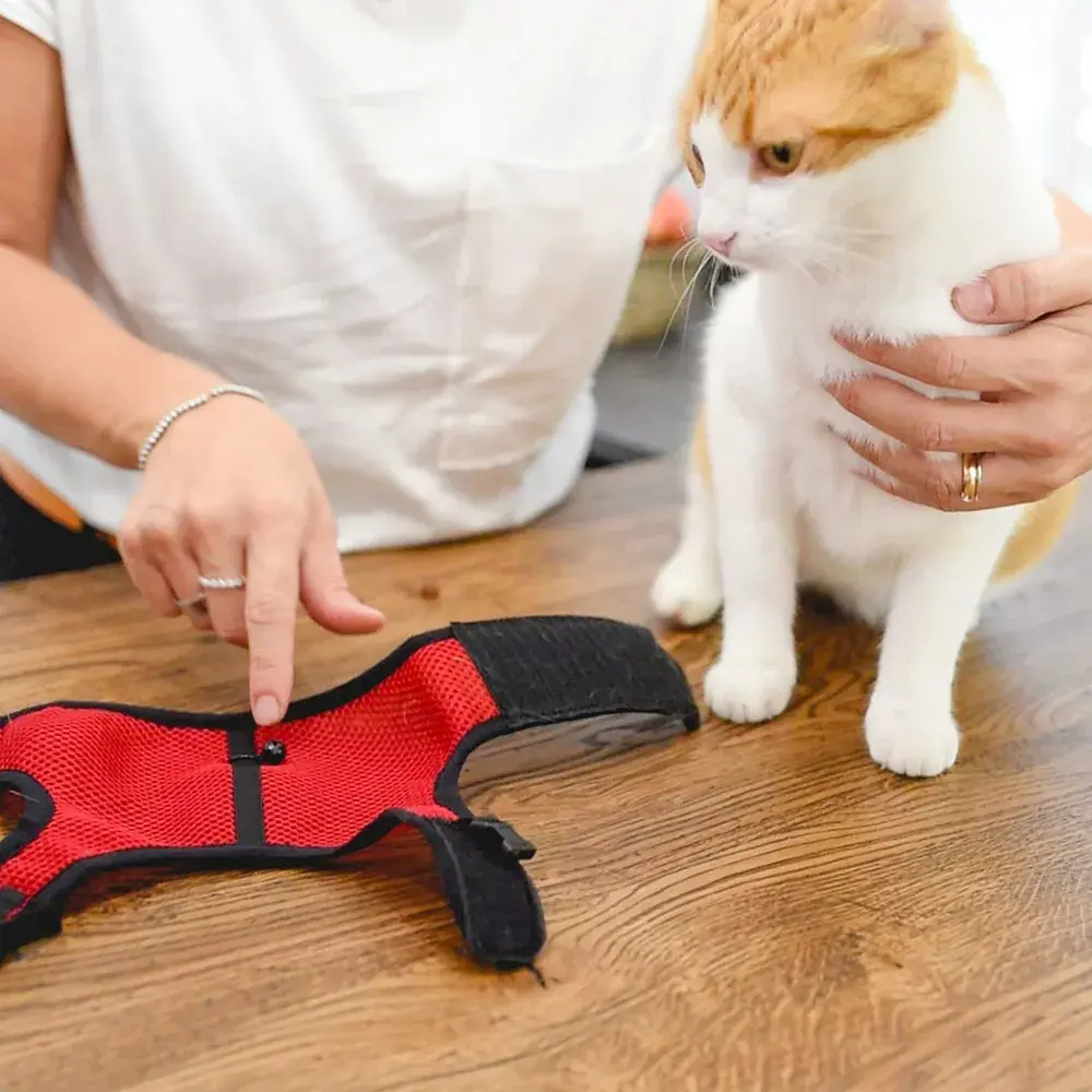 FERPLAST Jogging Extra Large harness for rabbits and cats Photo 6