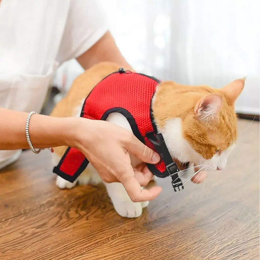 FERPLAST Jogging Extra Large harness for rabbits and cats Photo 8