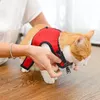 FERPLAST Jogging Extra Large harness for rabbits and cats Photo 8