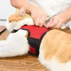 FERPLAST Jogging Extra Large harness for rabbits and cats Photo 10