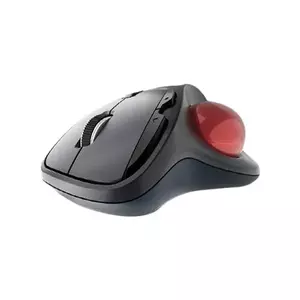 KeySonic KSM-6101RF-EGT mouse Right-hand RF Wireless 1000 DPI