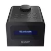 Personal Radio Sharp DR-430 Photo 5
