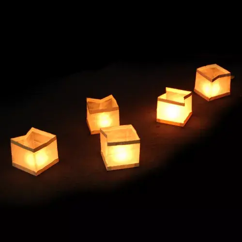 Lantern Thumbs Up WATLAN10 Photo 3