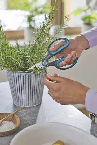 Секатор Gardena HerbCut Bypass Photo 4