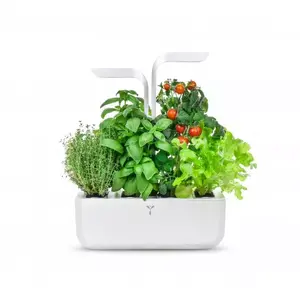 Véritable CLASSIC home garden White LED 11 W 100 - 240 V