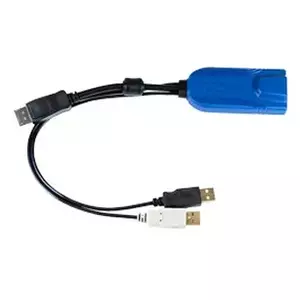 Raritan D2CIM-DVUSB-DP KVM cable Black, Blue