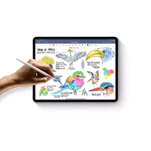 Take amazing notes with Apple Pencil.