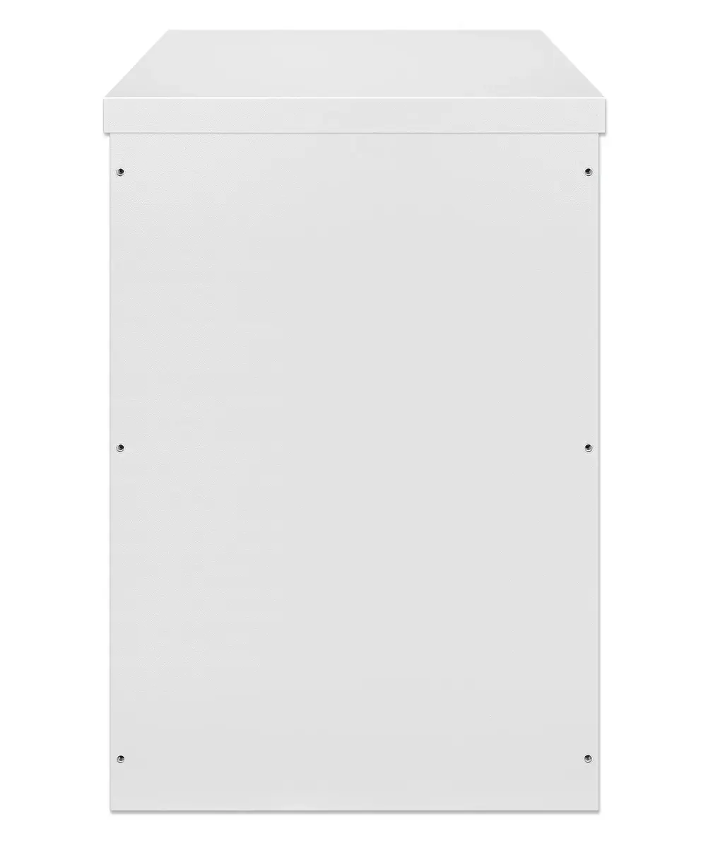 Intellinet Industrial IP55 19" Wall Mount Cabinet Photo 4