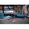 Шлифовальная машинка Bosch GWX 17-125 PSB Photo 3