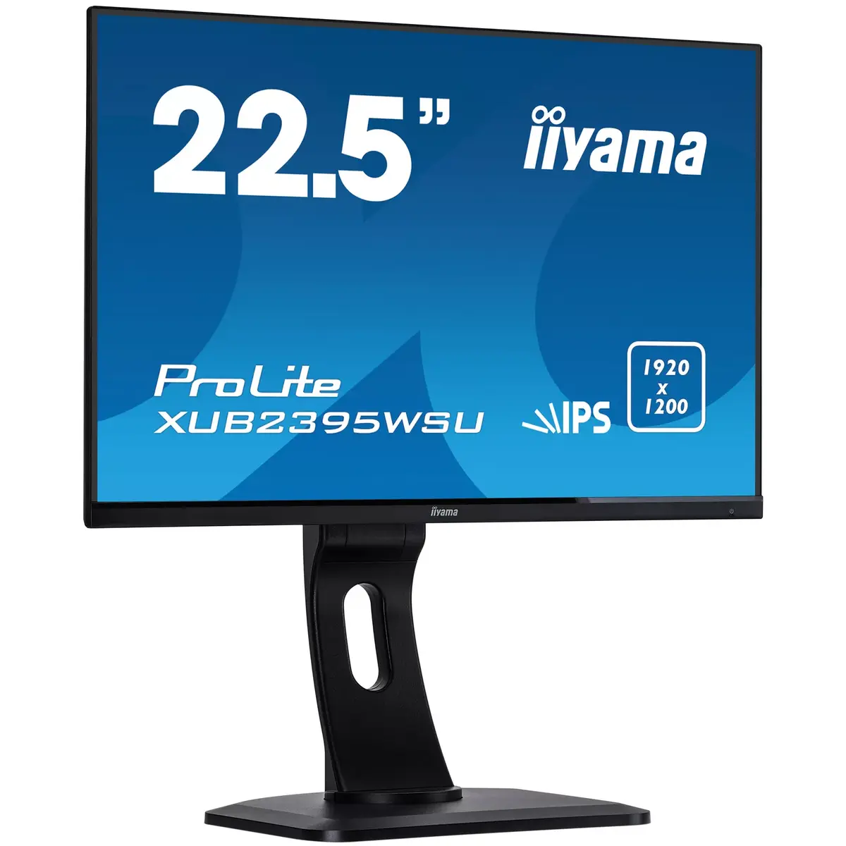 iiyama ProLite XUB2395WSU-B1 22.5-inch WUXGA IPS Monitor Photo 9