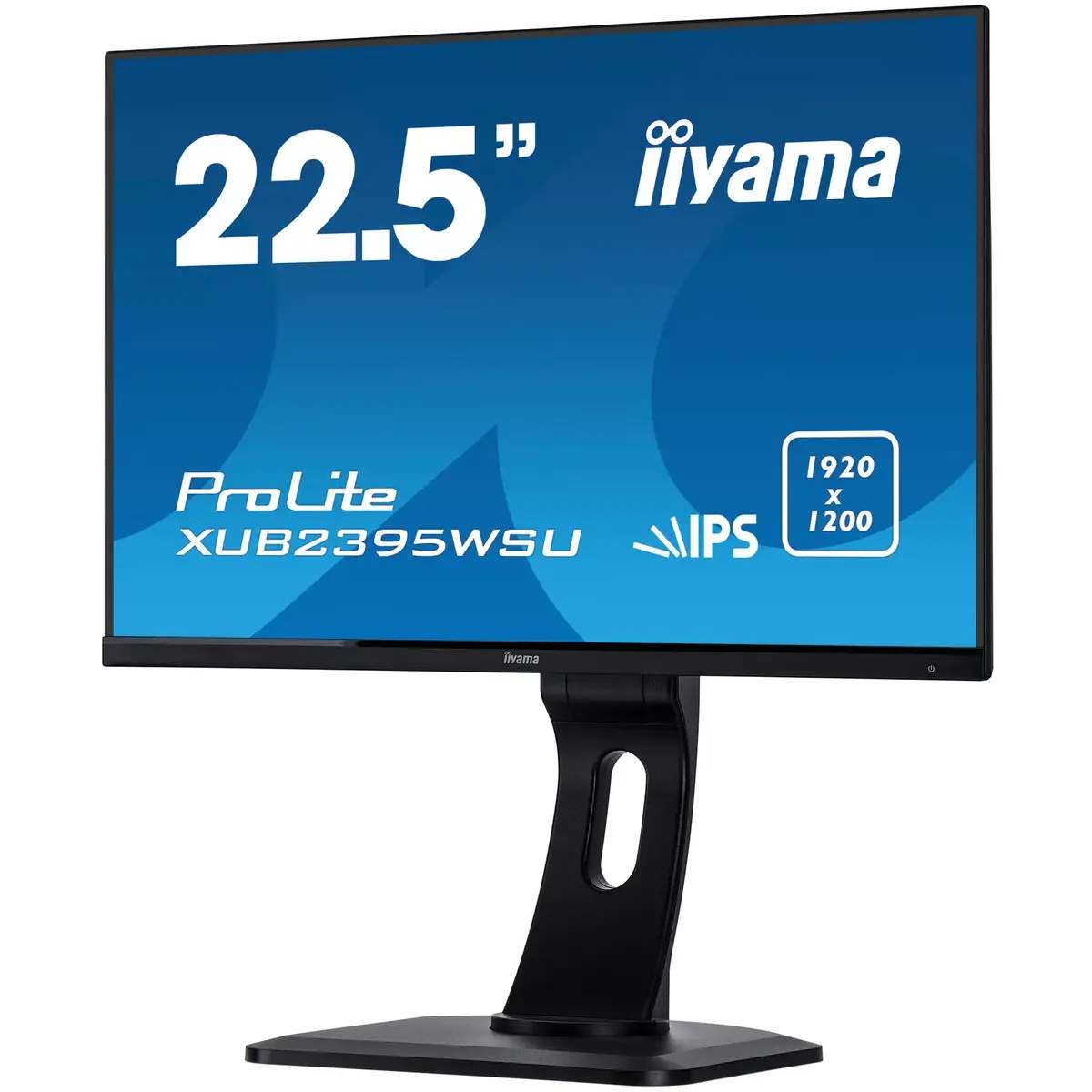 iiyama ProLite XUB2395WSU-B1 22.5-inch WUXGA IPS Monitor Photo 10