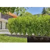 Gardena 13503-20 dārza šļūtene Photo 3