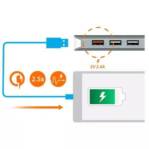 BC 1.2 Fast Charging