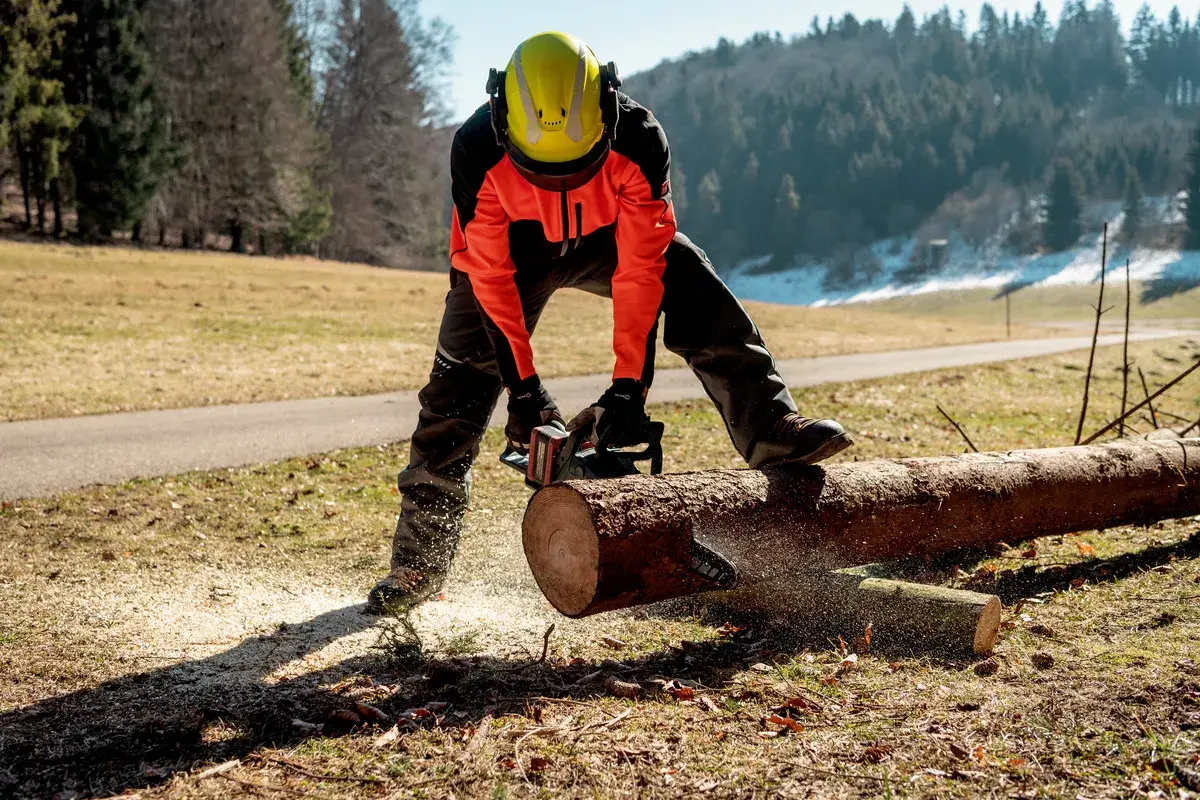 Zāģis Metabo MS 36-18 LTX BL 40 Photo 3