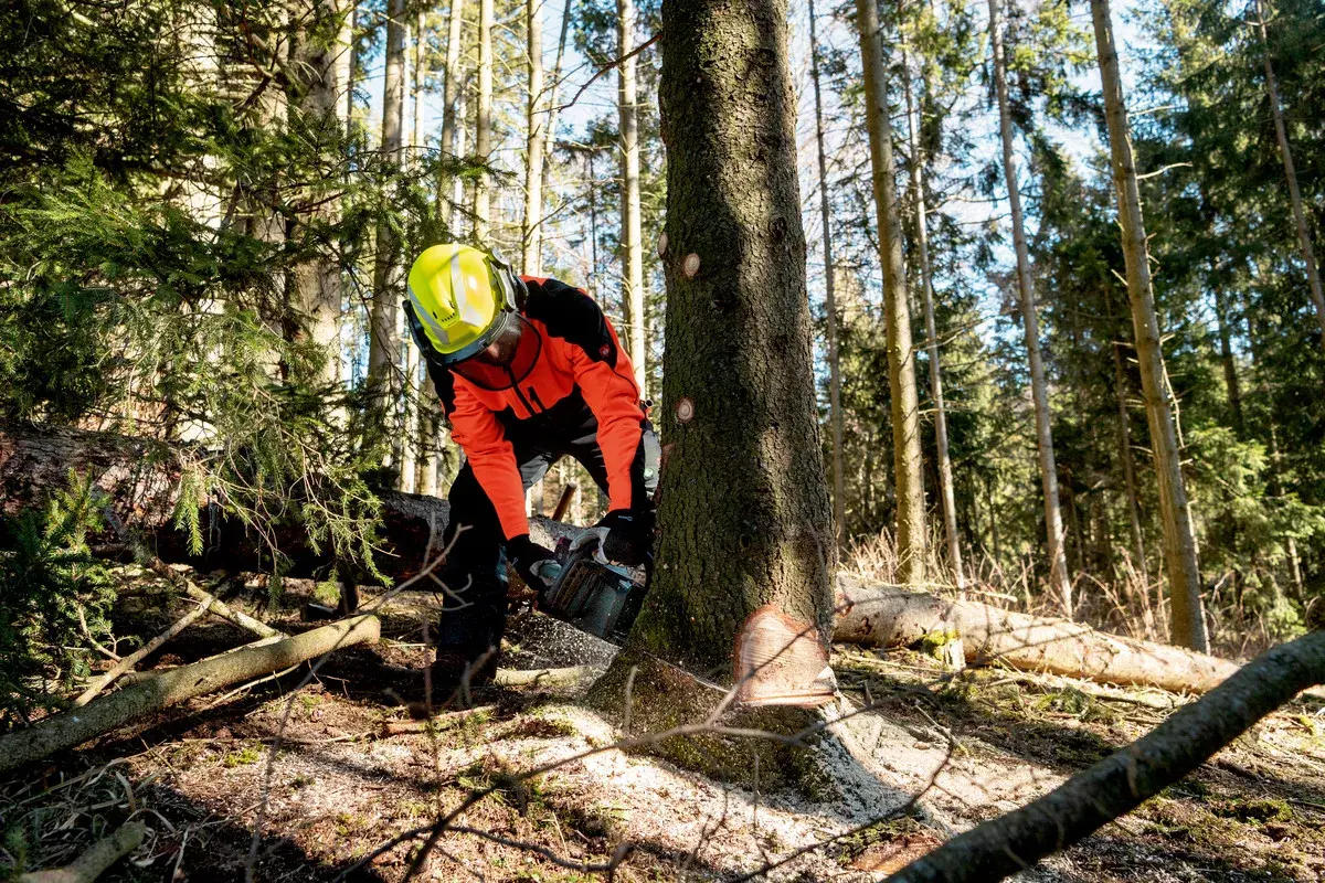 Zāģis Metabo MS 36-18 LTX BL 40 Photo 6