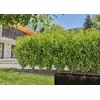 Kapalizācijas sistēma Gardena 13501-20 Photo 3