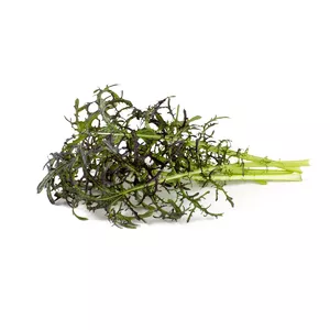 Starter kit Click & Grow Red Frill Mustard Plant Pods 3 pcs