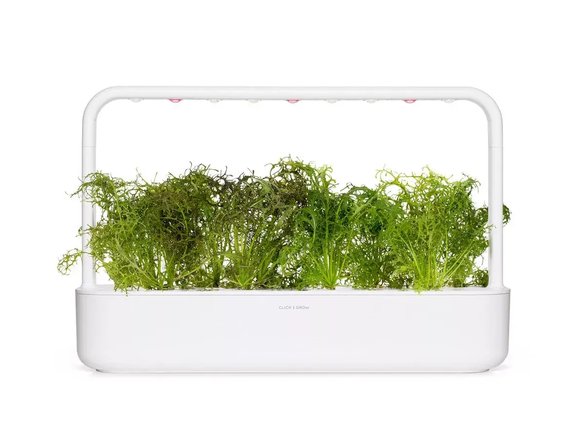 Starter kit Click & Grow Red Frill Mustard Plant Pods Photo 4