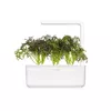 Starter kit Click & Grow Red Frill Mustard Plant Pods Photo 5