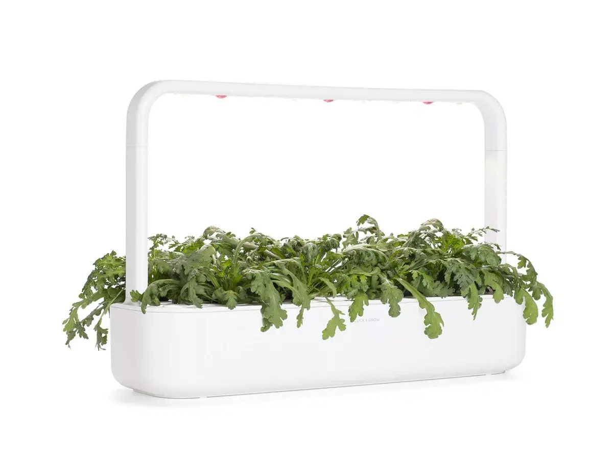Starter kit Click & Grow SGR81X3 Photo 3