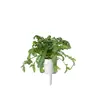 Starter kit Click & Grow SGR81X3 Photo 4