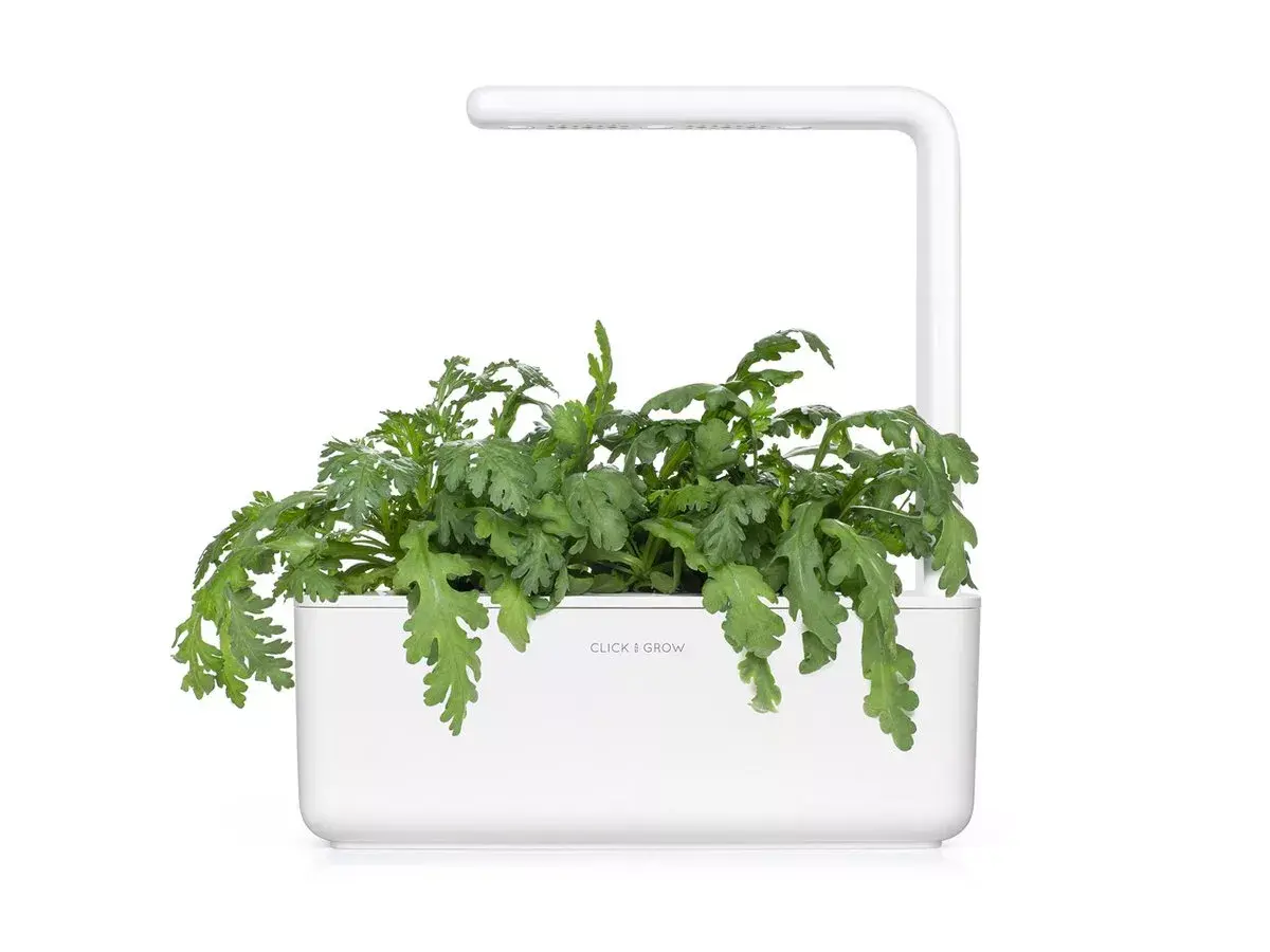 Starter kit Click & Grow SGR81X3 Photo 5