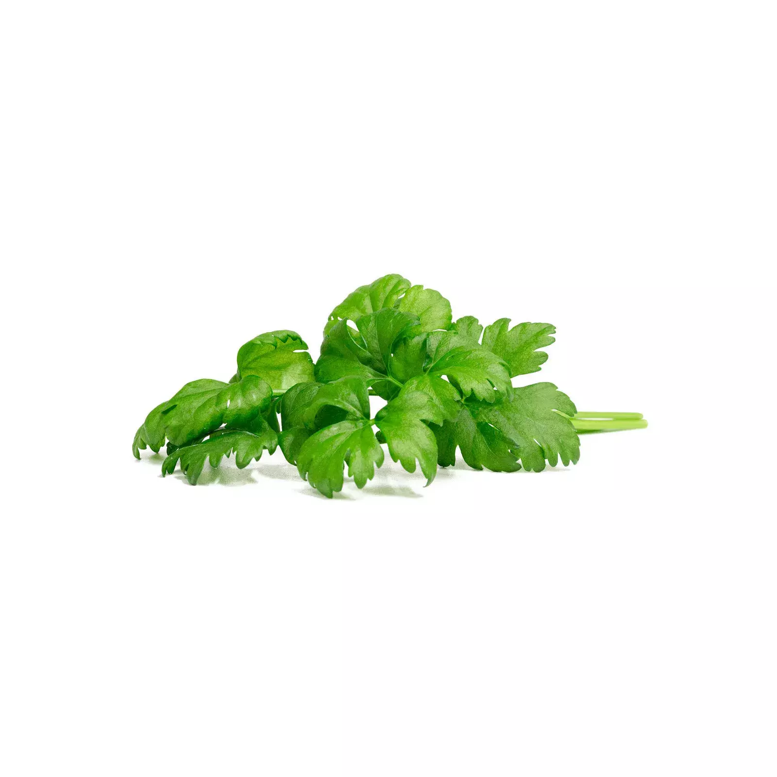 click and grow SGR97X3 4742793003948 Photo 1