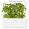 Click and Grow SGR100X3 Lime Basil refill — 3 pods Photo 2