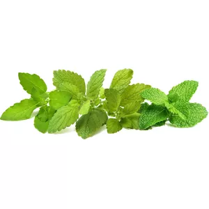 Smart plant pod Click and Grow PPMCTX9 — 9 pcs Calming Tea Mix