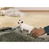 Schleich Galloway Govs 13960 Photo 2