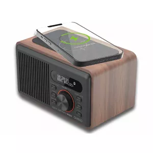 Portable Speaker Carneo W100, Brown