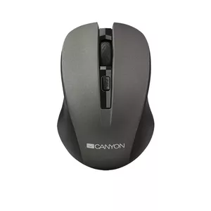 Canyon CNE-CMSW1G mouse Ambidextrous RF Wireless Optical 1200 DPI