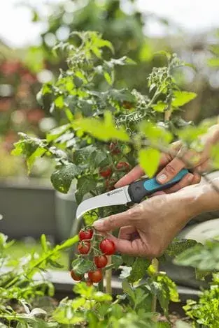 Pruning Shears Gardena VeggieCut Photo 4
